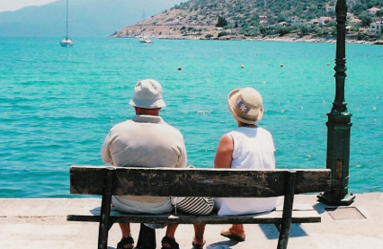 senior deduction.png (243 KB)